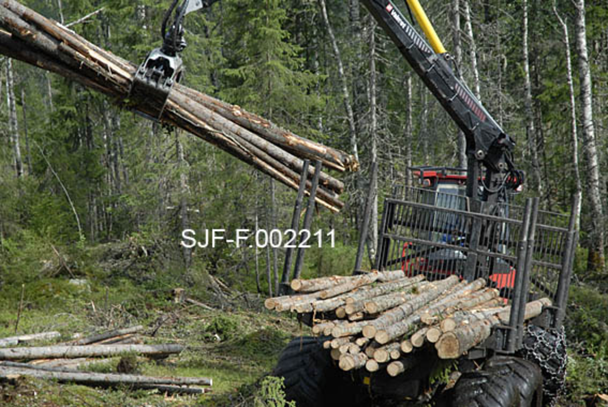 Ola Engens fire år gamle rammestyrte lassbærer, en Valmet-modell, i virksomhet i Ulvåsen i østre Elverum, 5. august 2009.  Fotografiet er tatt bakfra.  Maskinen har to akslinger på forparten, som bærer førerhuset, og to på bakparten, som bærer lasset.  På samtlige akslinger er det brede hjul med samme mønstring som bakhjulene på landbrukstraktorer.  Da dette fotografiet ble tatt var føreren i ferd med å laste slipvirke på tilhengeren ved hjelp av ei kraftig klo ("grabben") i enden av en hydraulisk kranarm.  Her er det slipvirke, småtømmer, som løftes opp på traktoren i en bunt.  Fotografiet er tatt nederst i ei li, like ved et myrdrag der det i hovedsak vokste bjørkeskog. 