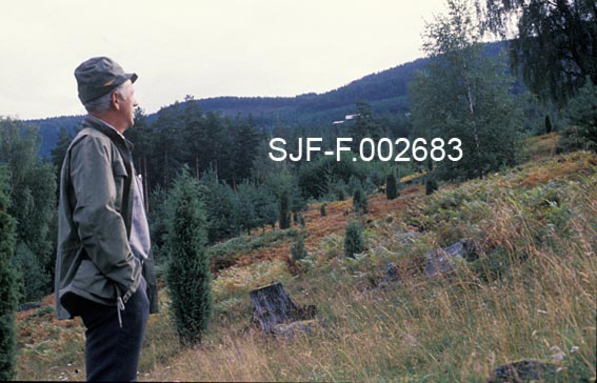 Skogtekniker Torbjørn Hegland, som arbeidet for familien Knagenhjelm på Kaupanger Hovedgård i Sogndal i Sogn og Fjordane, fotografert på et sted hvor han har god utsikt over ei li der det stikker opp en del eienere på ei flate der det ellers vokser gras, bregner og noen spredte lauvtrær.  Bakenfor står barskogen tett.  Noe høyere oppe i åsen ser vi takene på et gardsbruk. 