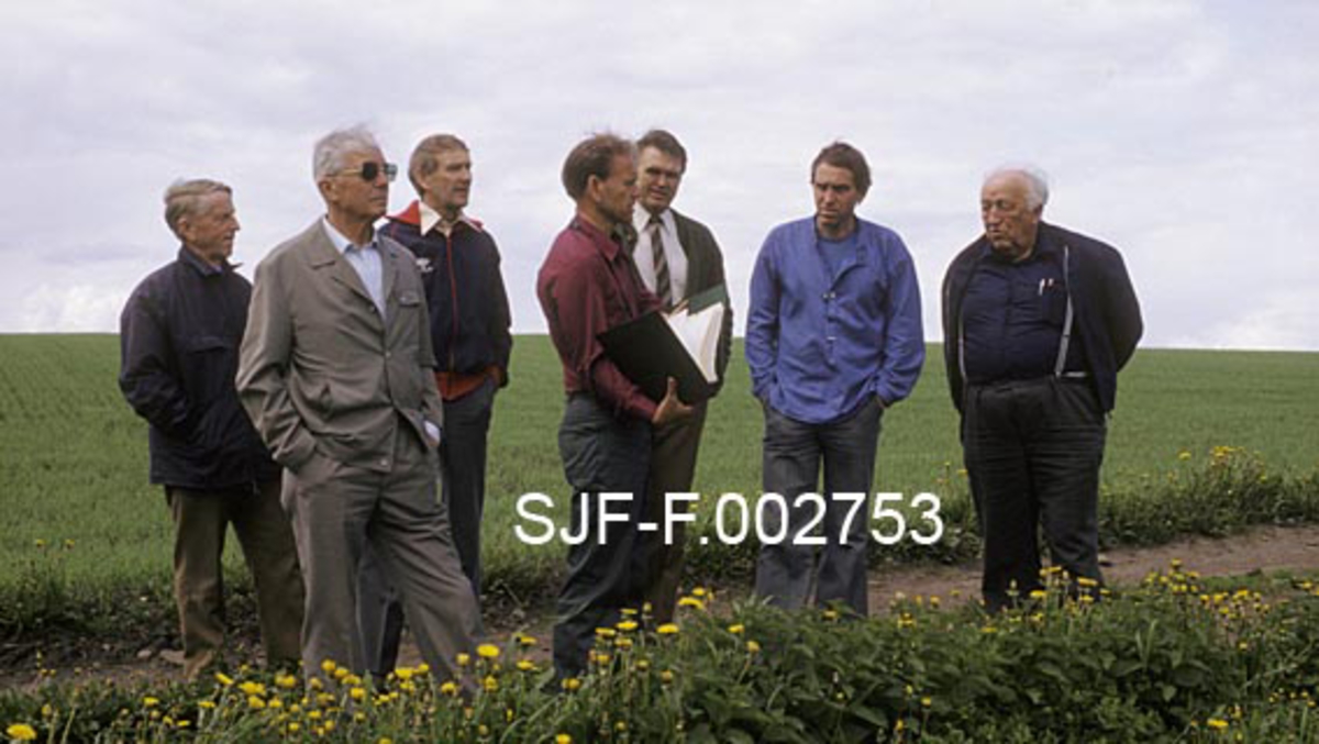 Styret i Hedmark Skogselskap, fotografert under en befaring til skogfrøplantasjen på Jønsberg i Romedal i juni 1983.  Frøavlsleder Gunnar Haug fra Oppland (i rød skjorte og med perm i handa, midt i bildet) orienterer.  Blant tilhørerne ser vi fra venstre Ole Borg fra Åsnes, fylkesskogmester Birger Strømsøe og skogeier Ole Sverre Moss fra Sør-Odal.  Til høyre for Gunnar Haug sto fylkesskogmester Olav Kaveldiget og disponent Jostein Bjørnersen fra Trysil (Trysil-Tre/Trysil kommuneskoger).