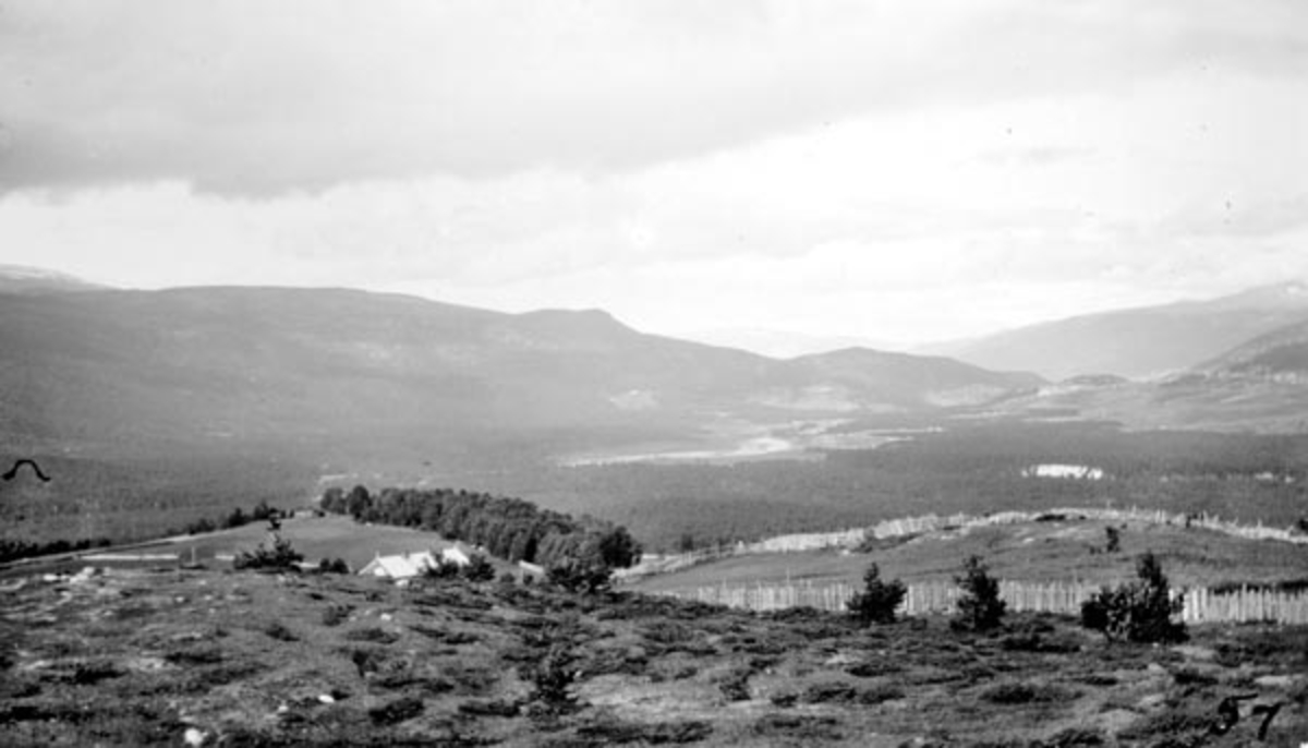 Panorama fra Nielsen - bautaen. 