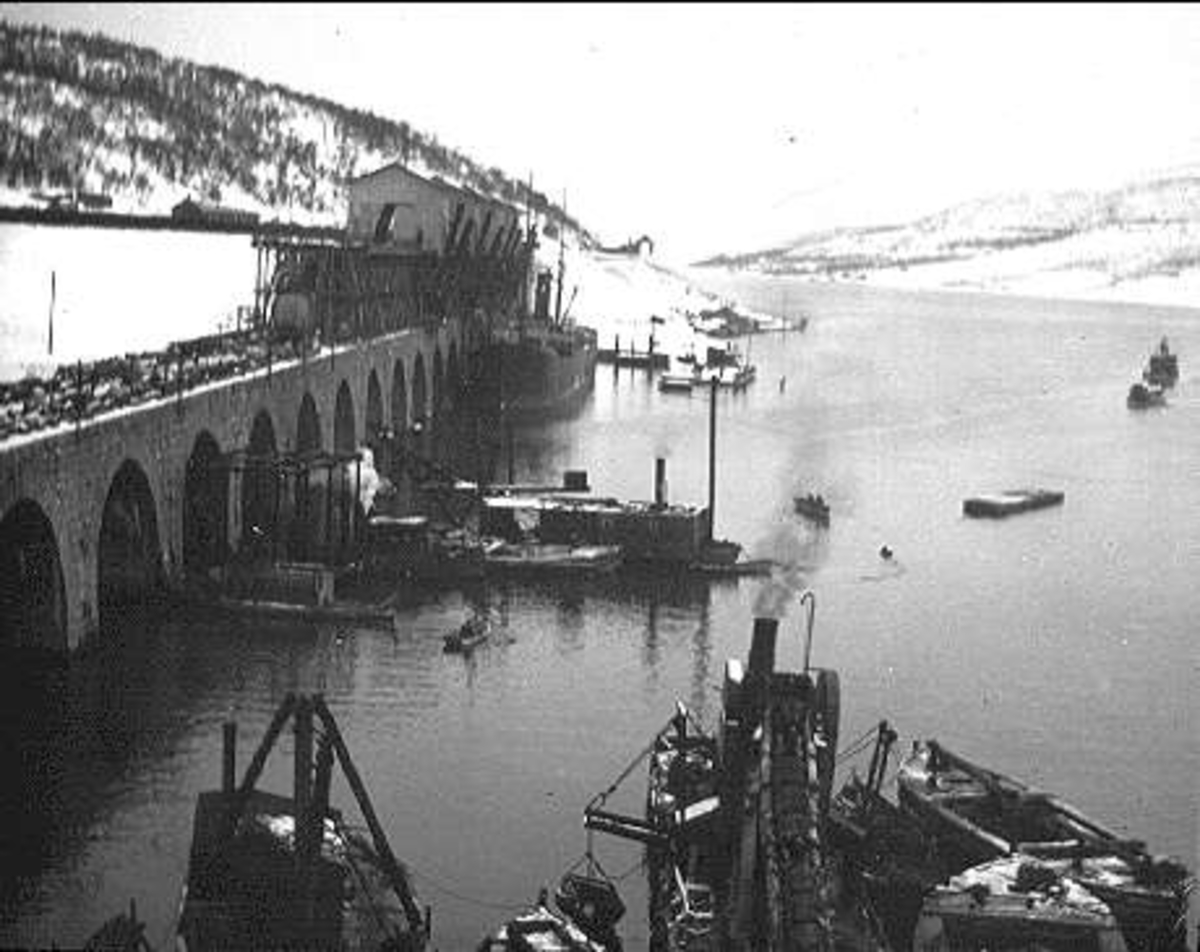 Kavalleriets fältövningar år 1905, 1906.