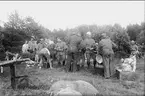 Utspisning i bivacken vid Tärnet, Hanken, Karlsborg, under sommarmarschen 1930.