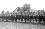 Del av livskvadronen till häst uppställd på kaserngården söder om stallarna för avlämning före fälttjänstövning inför sommarmarschen 1930. Avbildad trupp skall ingå i övningens B-styrka, de har vitt band runt hjälmen.