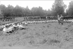 4. skvadronens bivack vid Simsjön 1929.