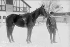 Livhusar (hästskötare?) med officers tjänstehäst.