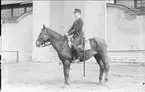 Livhusar i uniform m/1895 (m/ä) med tilldelad stamhäst vid skvadronstallets långsida