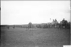 Regementskapplöpningarna 1932 på fältet söder K 3 kasern. Vid målet.