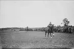 Regementskapplöpningarna 1931, steeplechase 3500 m. Segrare H von Seth - Herzog IIxx. Tvåa CO Palmstierna  Sam.