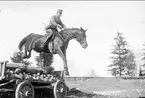 Skövde fältrittklubbs tävlingar 1929. Antagligen fälttävlans terrängritt i trakten av södra fältet (Sandfältet).