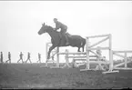 Terränghoppning/banhoppning, kavalleriofficersaspirantskolan 1934-35.