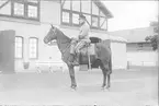 Livhusar i uniform m/1910 och mössa m/1895 på tilldelad stamhäst på K 3 kaserngård söder om skvadronstallet