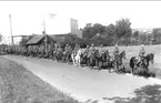 Granatkastartroppen på väg till sommarmarsch aug.1932, (37 st hästar).