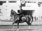 Löjtnant Kregor Adlercrutz segrade med Teresina i olympisk dressyr vid Olympiska spelen i Berlin 1936.