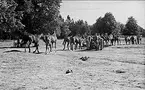 K 3 sommarmarsch till Sanna hed 1947. På väg mot vattning i Sannahedslägret.