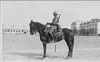 Fältutrustad husar i uniform m/1923 med karbin på fältutrustad häst. (jfr 12811)