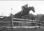 1930 - talet. Nalle, Skövde, tävlingshäst.