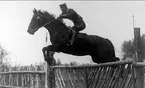 Terängritt på Galopp. Melker Wernstedt, officer vid K 3 1932 - 1940.