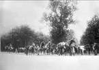 Livhusarer på resa och kommendering. Efter slutad släpjakt. Löjtnant H. Hedenstierna. Königl. Bayrische Equitations-anstalt München 1908-1909.