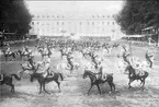 Livhusarer på resa och kommendering. Le Carrousel. Quadrille de 36 lieut Et 36 souslieut. Sur Chevaux de P.S.(Haut la lance).