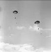 Uppvisningar från Fallskärmsjägarskolans dag år 1964 på Flugebyn, Karlsborg.