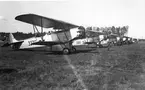 Karlsborg 1936. Startklara Fokkrar på Karlsborgsfältet.