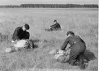 Fallskärmsjägarskolan Karlsborg i slutet av 1950-tal.Landning.