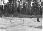 Fallskärmsjägarskolan Karlsborg 1955.Landning