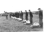 Fallskärmsjägarskolan i Karlsborg 1959.