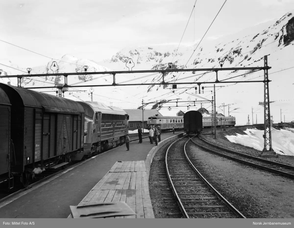 Diesellokomotiv Di 3 604 foran bergenstoget på Myrdal stasjon -kryssing med Bergensekspressen