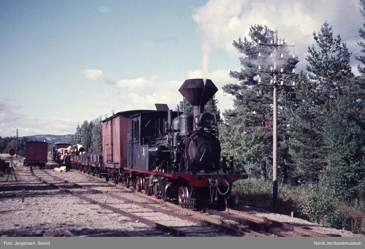 Godstog 5662, trukket av damplokomotiv nr. 2, på Hornesund holdeplass