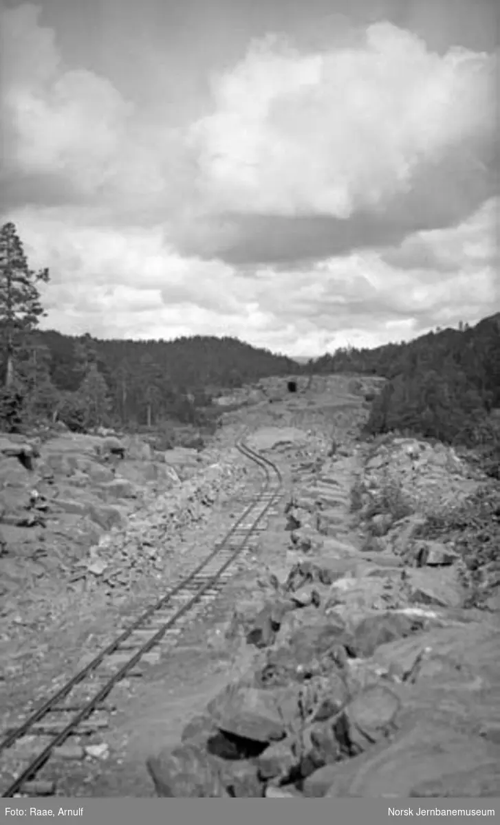 Rusåga stasjon med Gammel tunnel i bakgrunnen; kulting av hovedsporet i søndre ende pågår