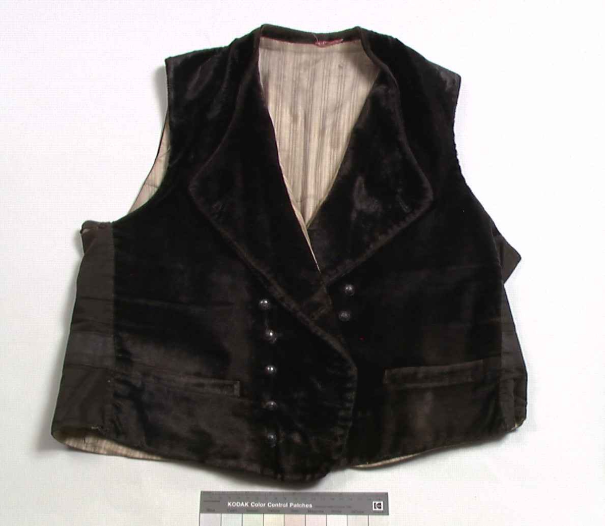 Vest