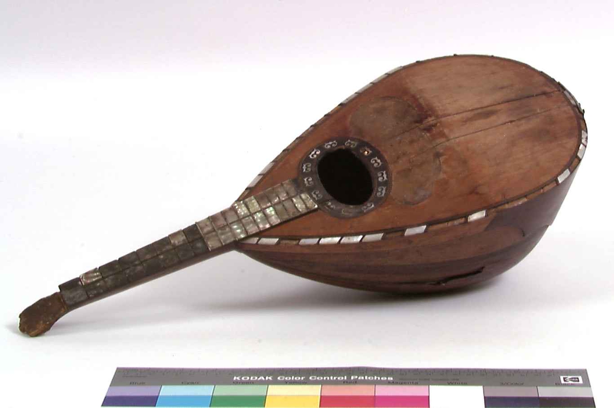 Mandolin