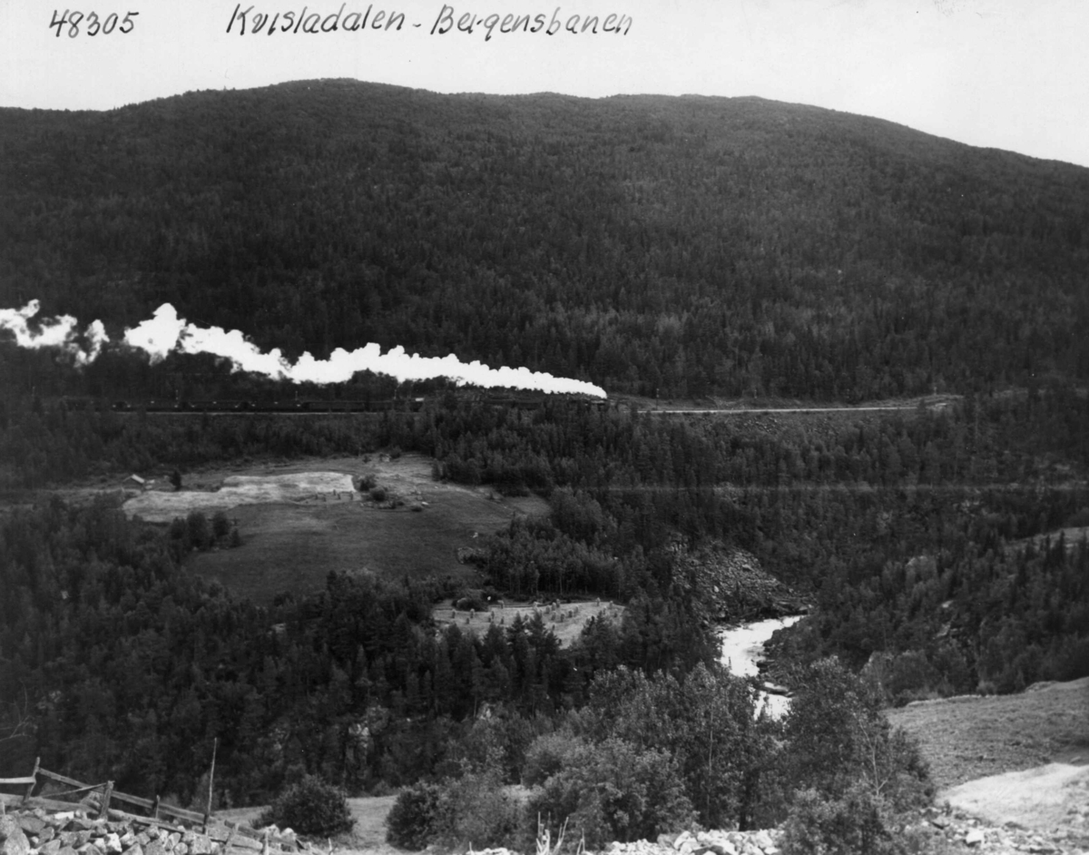 Bergensbanen gjennom Kvisladalen.