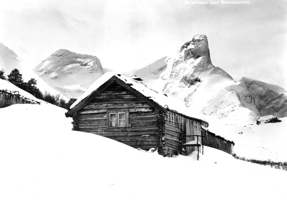 Topografi