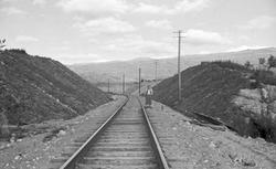 Nordlandsbaneanlegget : skråninger i skjæring ved Randalsvol