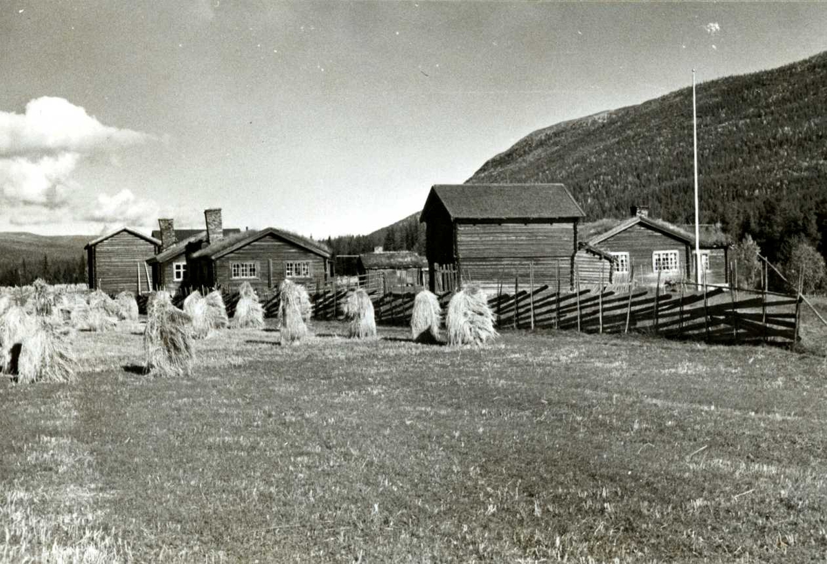 Stua-Atnosen, Stor-Elvdal, Sør-Østerdal, Hedmark. Gården sett fra et jorde med staur.