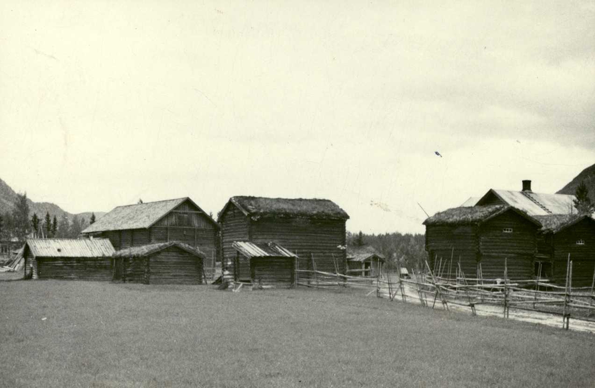 Moen, Stor-Elvdal, Sør-Østerdal, Hedmark. Gården sett fra et jorde.