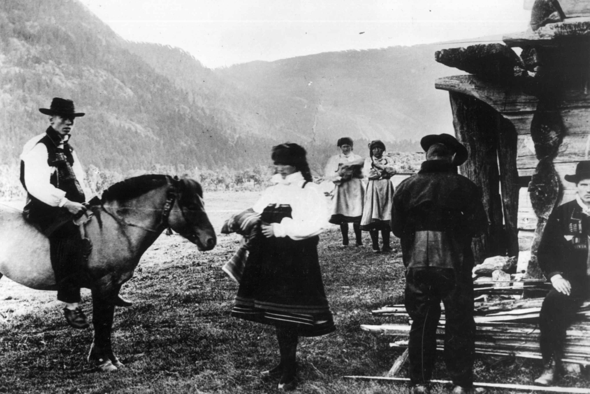Kvinner og menn med drakter fra Aust-Agder fotografert i 1888 på gården Haugo på Tveit i Austad sokn i Bygland, antakelig. Hest av typen fjording.