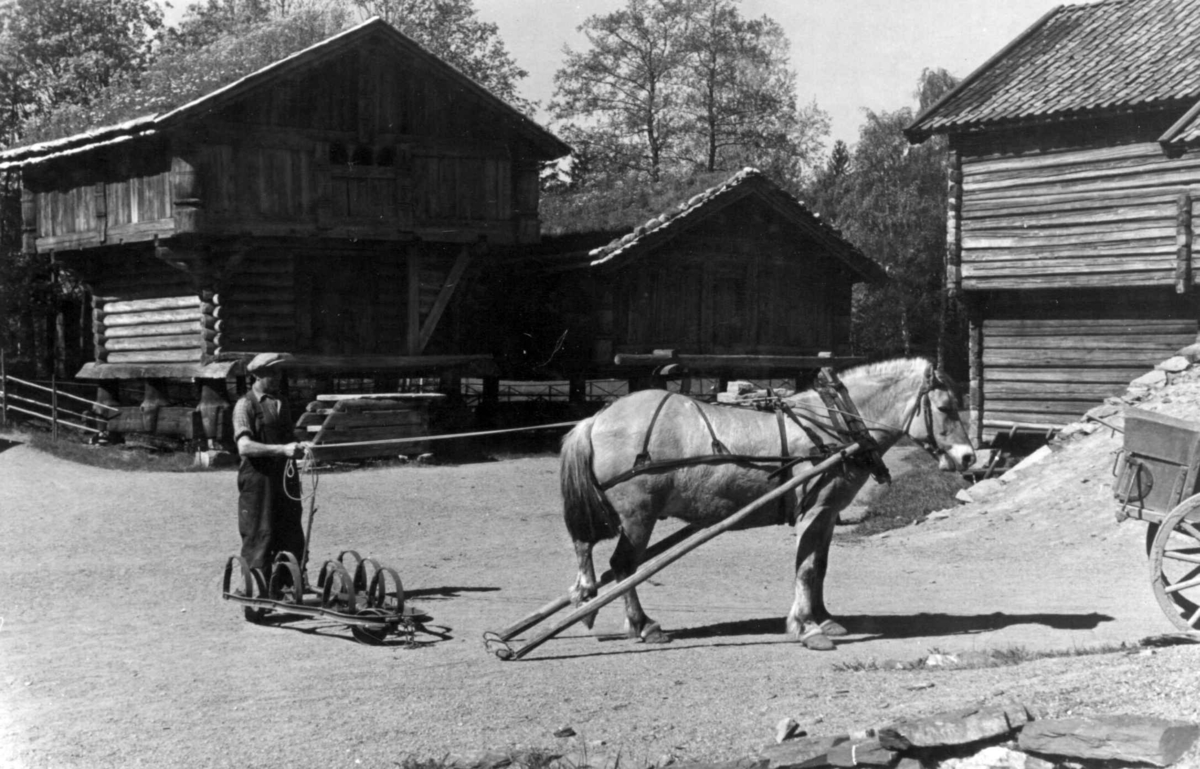 Telemarkstunet på Norsk Folkemuseum, 1949. Til venstre: Loft fra Søndre Tveito i Tinn. I midten: Bur fra Nedre Nisi i Notodden. Til høyre: Stalløe fra Nedre Jørgedal i Bø. Hesten "Truls" bindes for.