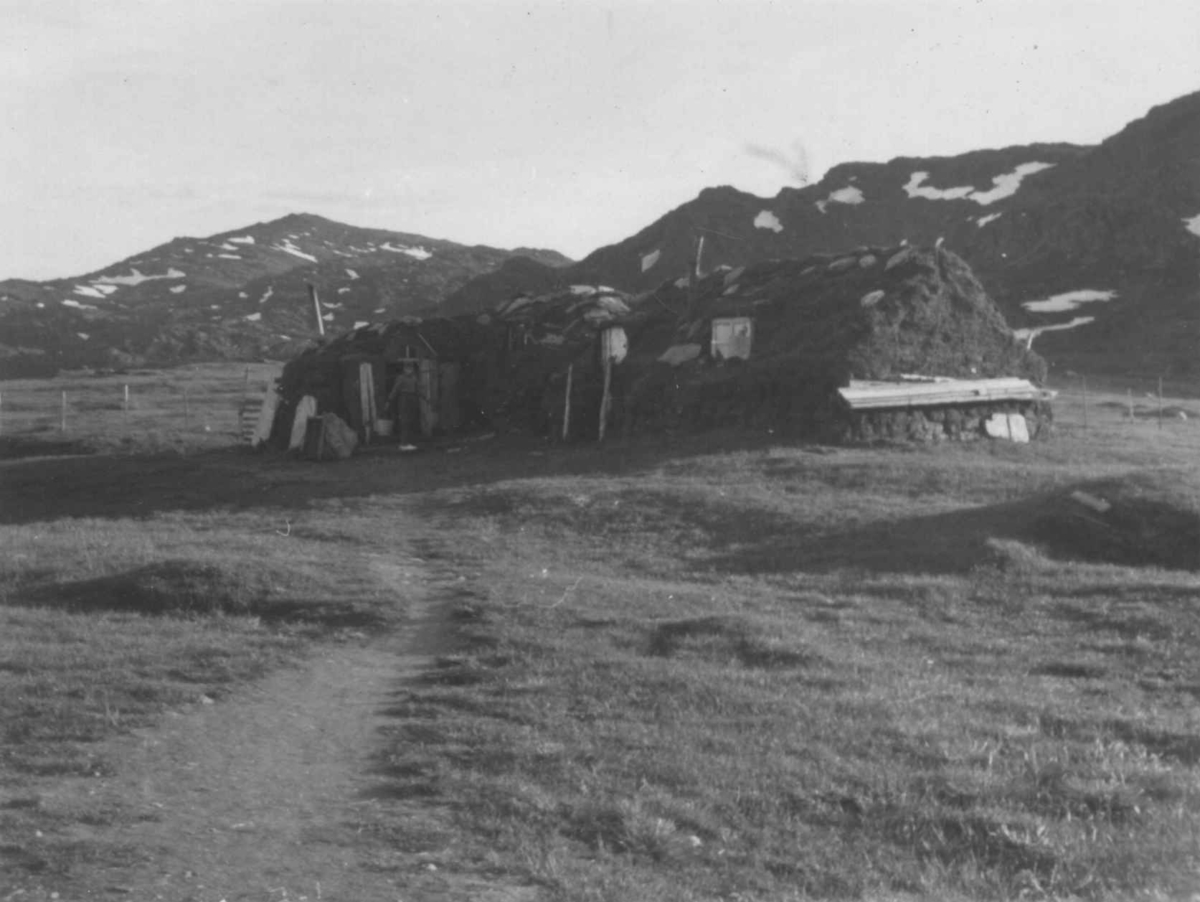 Fjøsgamme. Langfjordnes 1952.