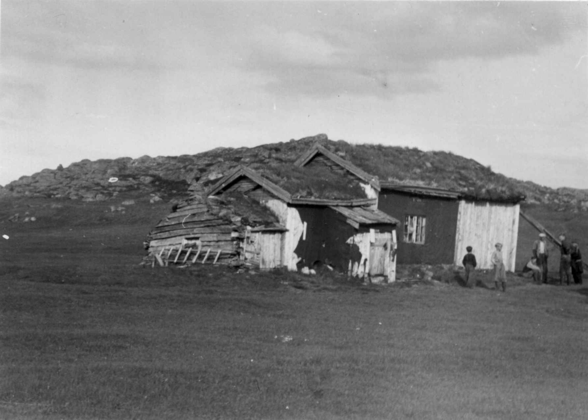 Tidligere bolig, nå benyttet som fjøs, Lasesuolo 1952.