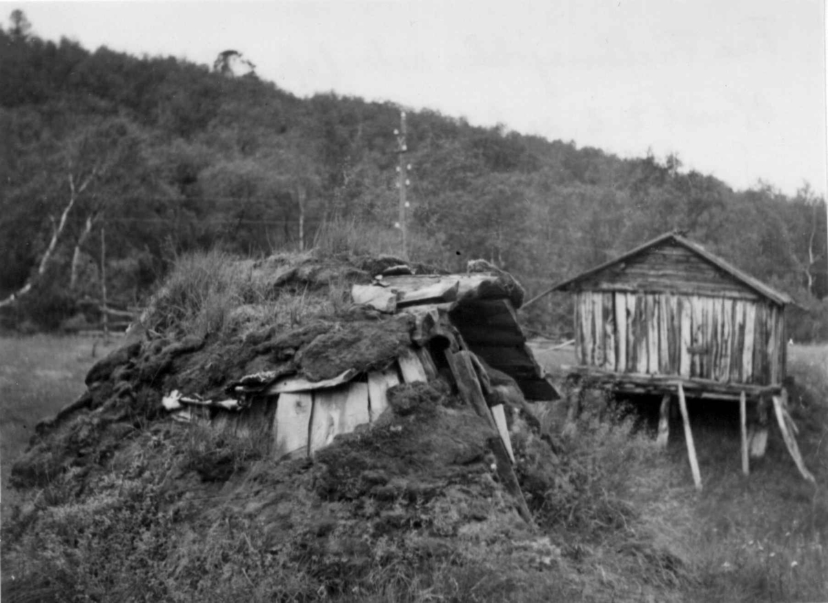 Fjøsgamme og høyløe på Fielbmajokka seter, 1952.