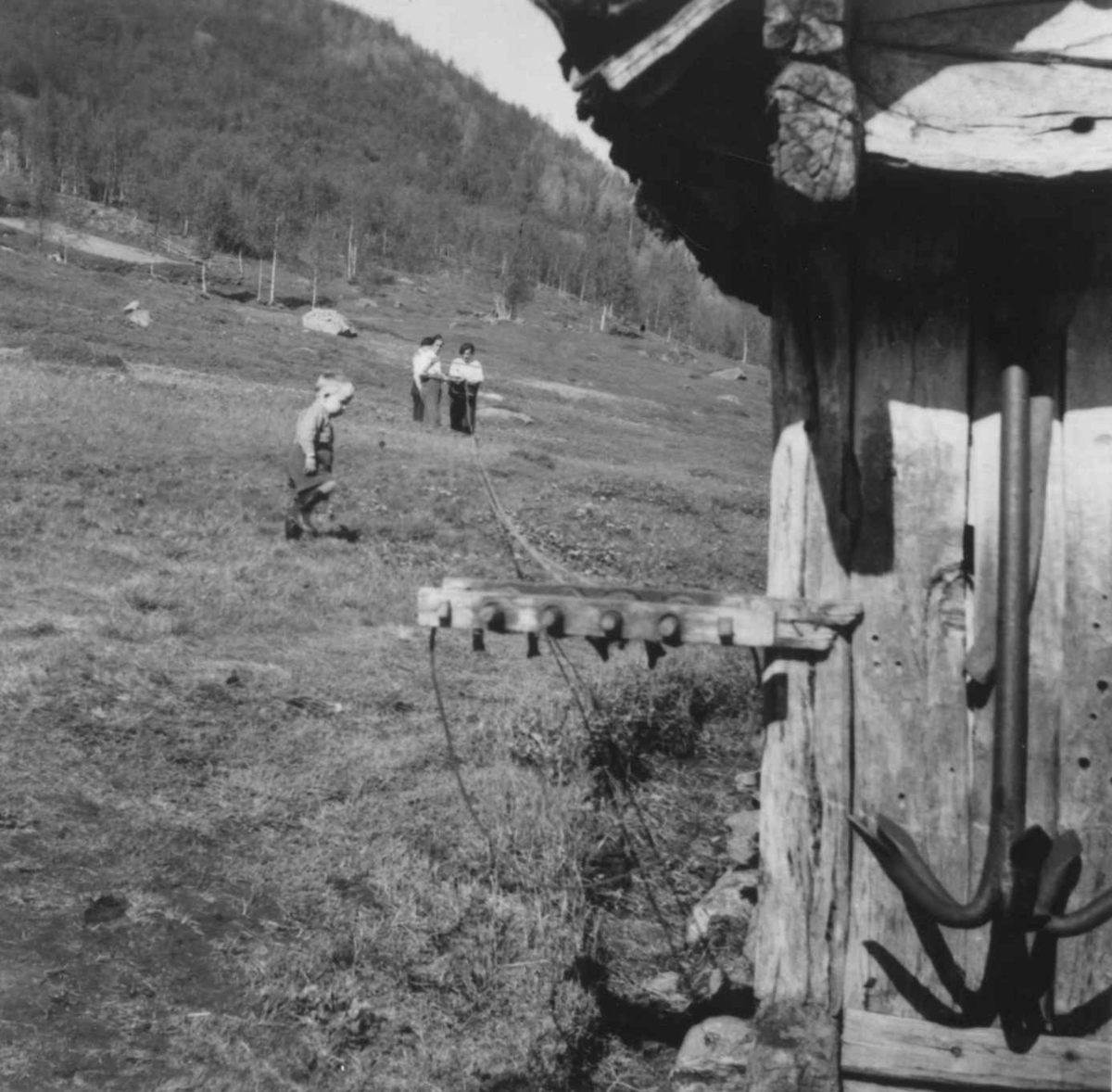 Tautvinning (1). Snellen til repslaging er spikret til stabburshjørnet. Njosken 1952.