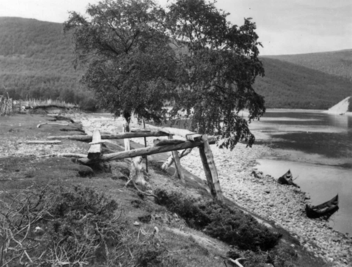 Sagstillas, og to småbåter langs elvebredden i bakgrunnen. Lavajokgiedde 1952.