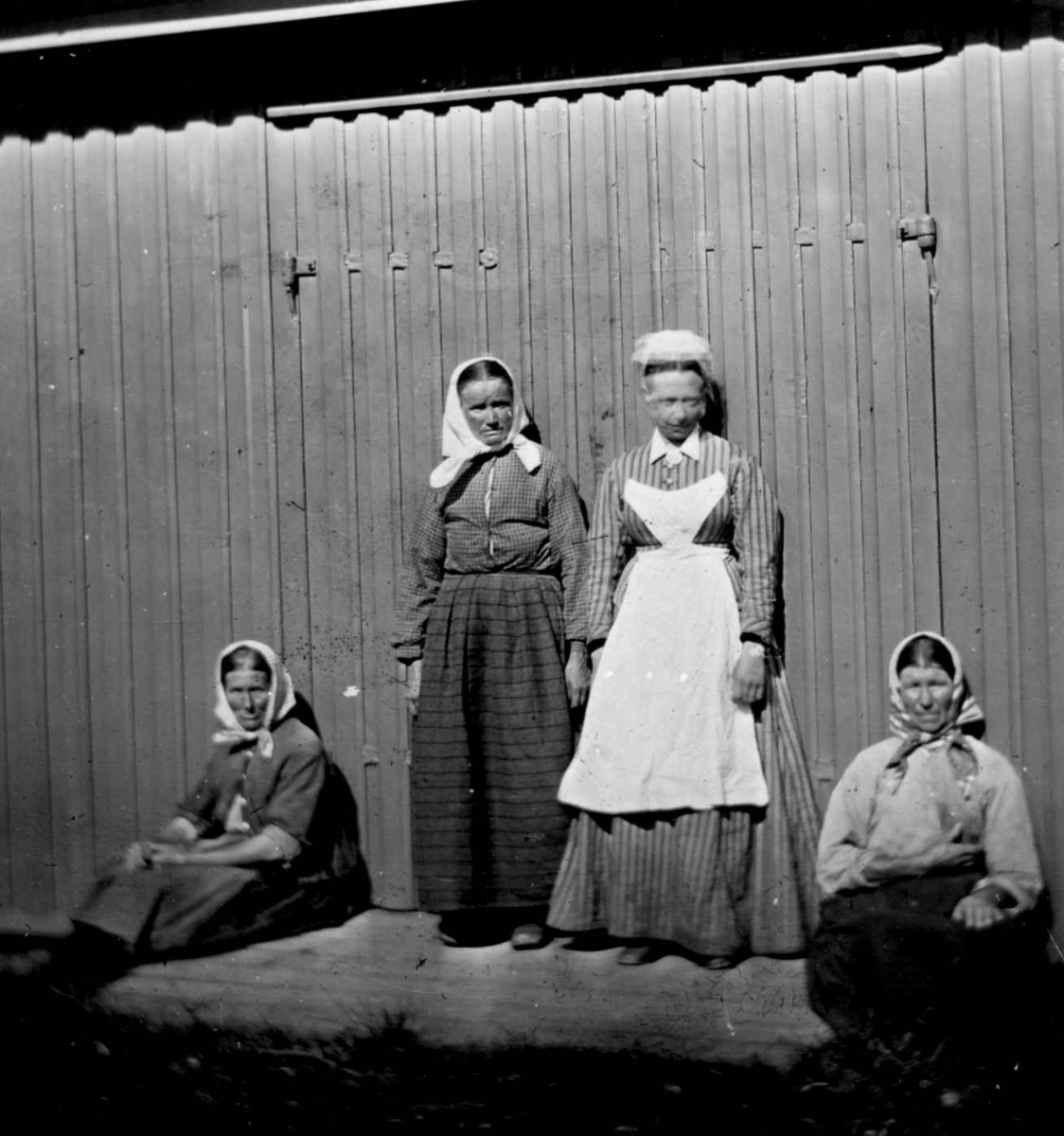 Tjenestepiker, Dal gård, Ullensaker. 4 kvinner i arbeidstøy med hodeplagg poserer foran gjerde utendørs.
Fra serie fotografert ca. 1885-1900 av kammerherre Fredrik Emil Faye (1844-1903), Dal gård, Ullensaker.