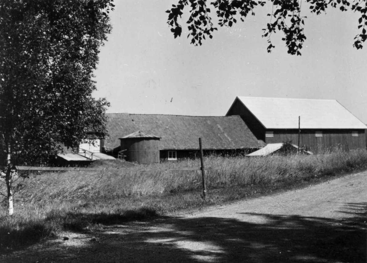 Haugrim, Aurskog, Akershus 1954. Uthus med silo.
Fra dr. Eivind S. Engelstads storgårdsundersøkelser 1954.