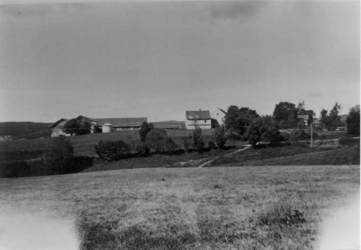 Låke, Nannestad, Akershus. Gården sett på avstand fra et jorde. Storgårdundersøkelser ved Engelstad 1954.