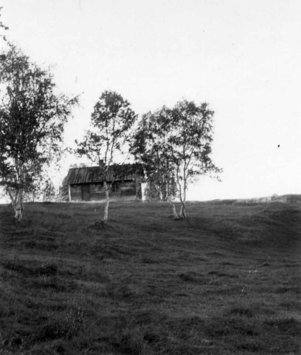 Gården til Ole J. Bær med våningshus og stabbur. Avzzevuobme 1953.