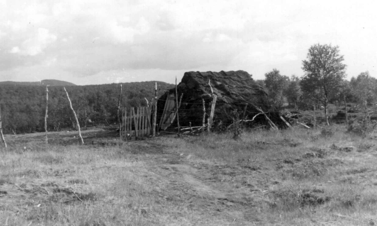 Sommerfjøs på gården til Mikkel Mathis Hätta, Mieron 1953.